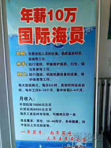 青島州海國際船舶管理 深耕國際船舶管理業務，賦能全球航運