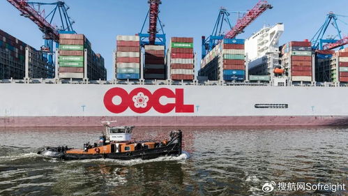 營收87.7億美元創紀錄 這家船司2025全年業績深度解析與國際船舶管理業務展望